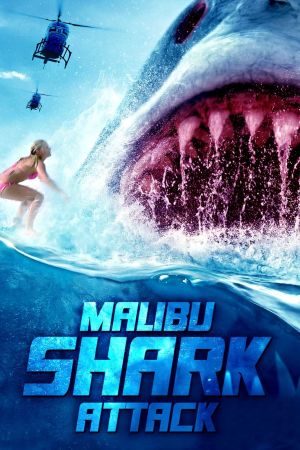 Shark Attack - Sie lauern in der Tiefe! poster