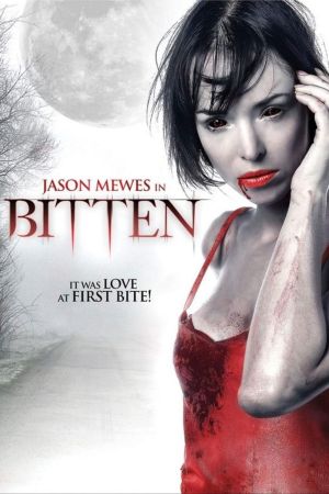 Bitten in the Twilight poster