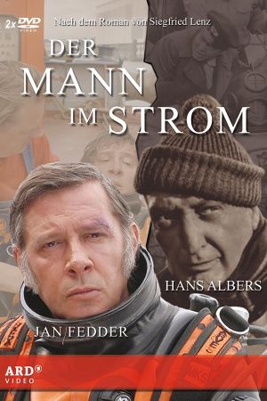 Der Mann im Strom poster
