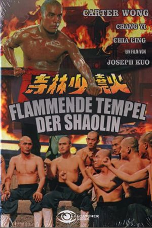 Flammende Tempel der Shaolin poster