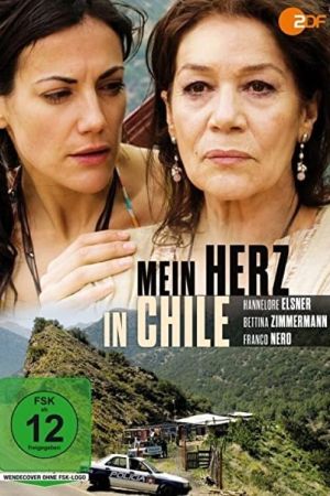 Mein Herz in Chile poster