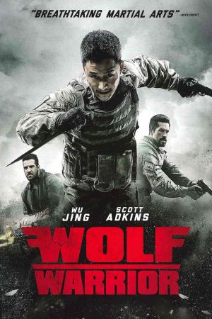 Zhan lang poster