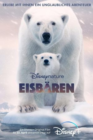 Eisbären poster