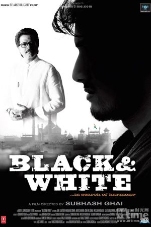 Black & White poster
