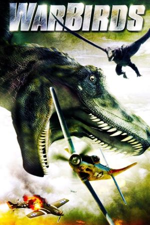 Warbirds - Drachen des Todes poster