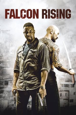 Falcon Rising poster