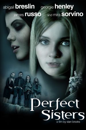 Perfect Sisters poster