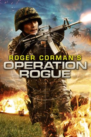 Operation Rogue - Einsatz am Limit poster