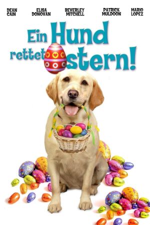 Ein Hund rettet Ostern poster