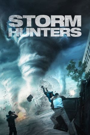 Storm Hunters poster