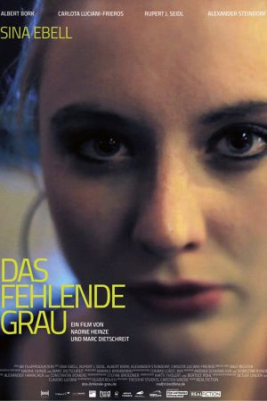 Das fehlende Grau poster