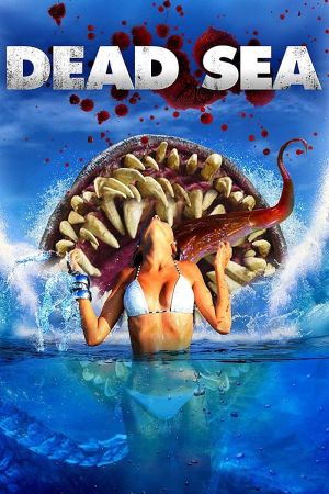 Dead Sea hdfilme stream online