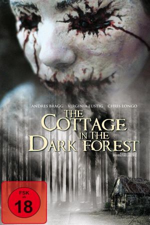 The Cottage in the Dark Forest poster