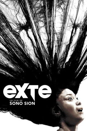 Exte: Hair Extensions poster