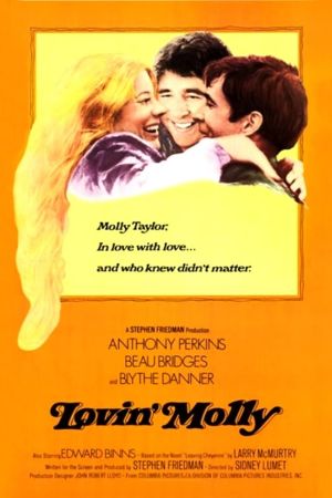Aus Liebe zu Molly poster