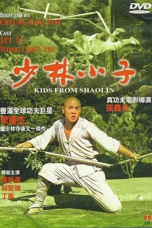 Meister der Shaolin 2 poster