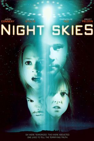 Night Skies poster