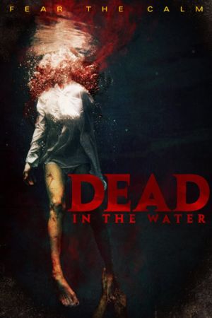 Zombies of the Lake poster