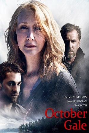 Herbststurm poster