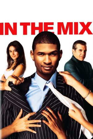 In the Mix - Willkommen in der Familie poster