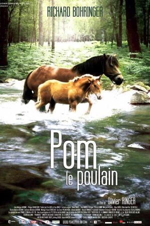 Pom, das treue Fohlen poster