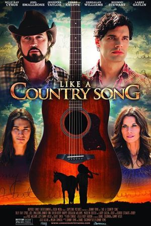 Das Leben ist wie ein Countrysong poster