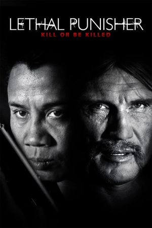 Lethal Punisher: Kill or be killed poster