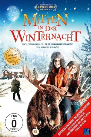 Mitten in der Winternacht poster