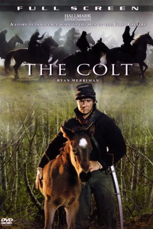 The Colt - Entscheidung im Bürgerkrieg poster