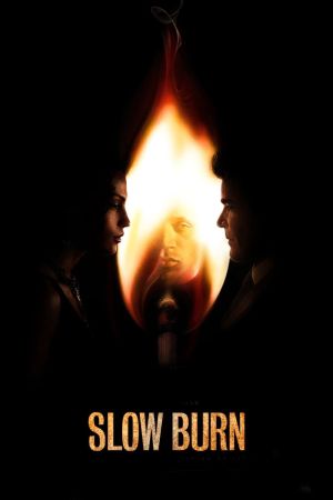 Slow Burn - Verführerische Falle hdfilme stream online