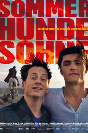 SommerHundeSöhne poster