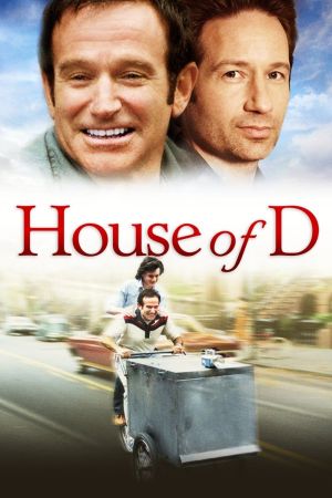 House of D poster