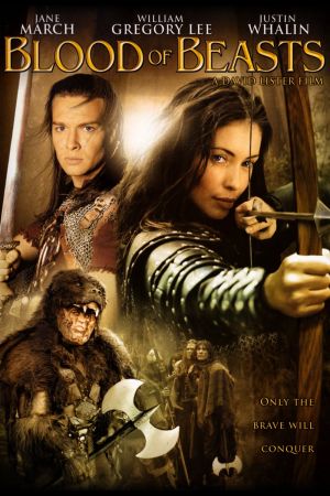 Die Wikinger 3 - Die Rache der Bestie poster