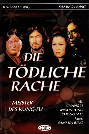 Die tödliche Rache poster