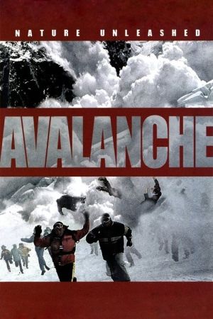 Lawinen - Der weisse Tod hdfilme stream online