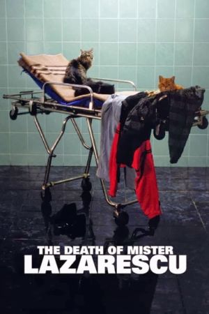 Der Tod des Herrn Lazarescu poster