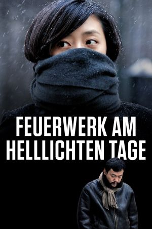 Feuerwerk am helllichten Tage poster
