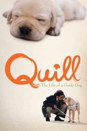 Quill - Ein Freund für´s Leben poster