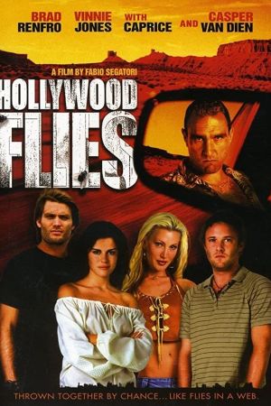 Hollywood Flies poster