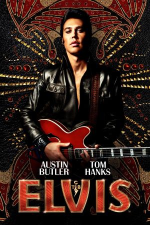 Elvis poster