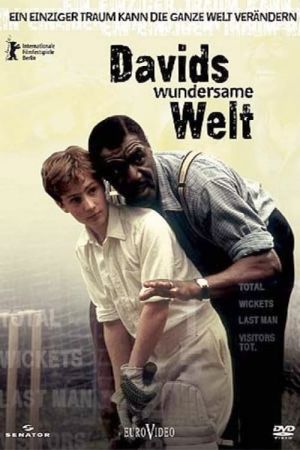 Davids wundersame Welt poster