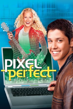 Der perfekte Rockstar poster