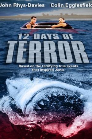 12 Days Of Terror poster