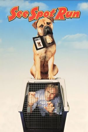 Spot - Ein Hund auf Abwegen poster