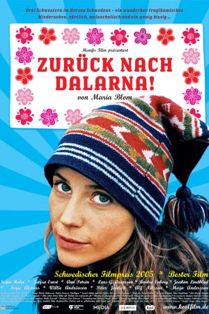Zurück nach Dalarna poster