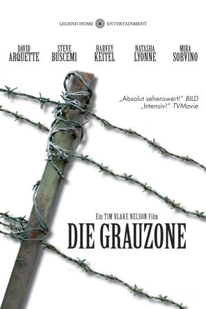Die Grauzone poster
