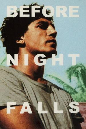 Bevor es Nacht wird poster