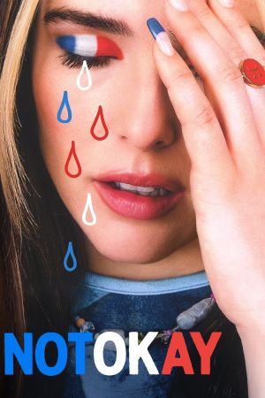 Not Okay poster