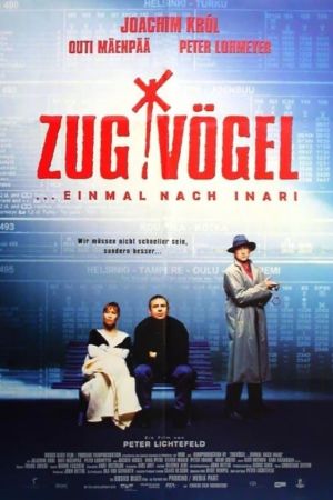 Zugvögel – einmal nach Inari poster