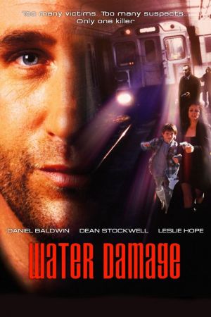 Lost Memory poster